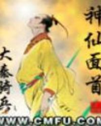 神仙面膜功效